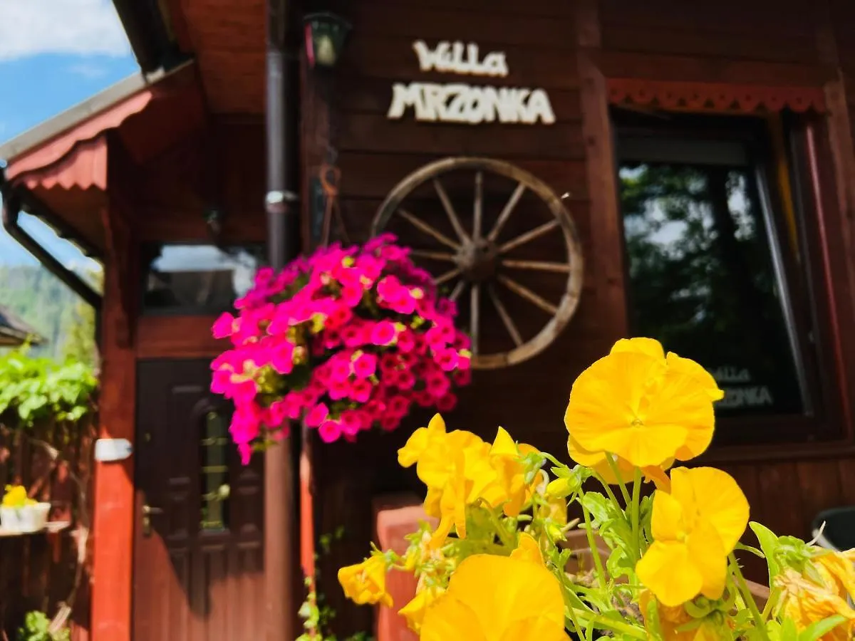 Homestay Willa Mrzonka Guesthouse Zakopane Poland